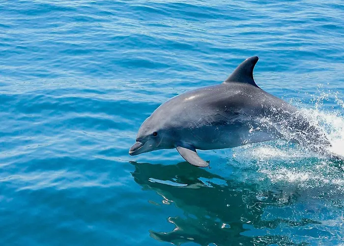 Luxury Pescadinha Near Beach, Albufeira